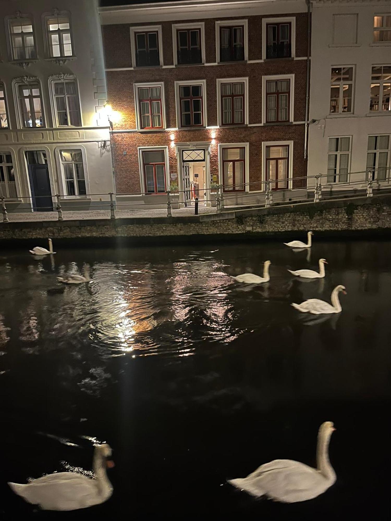 B&B Anna9 Brugge Ngoại thất bức ảnh
