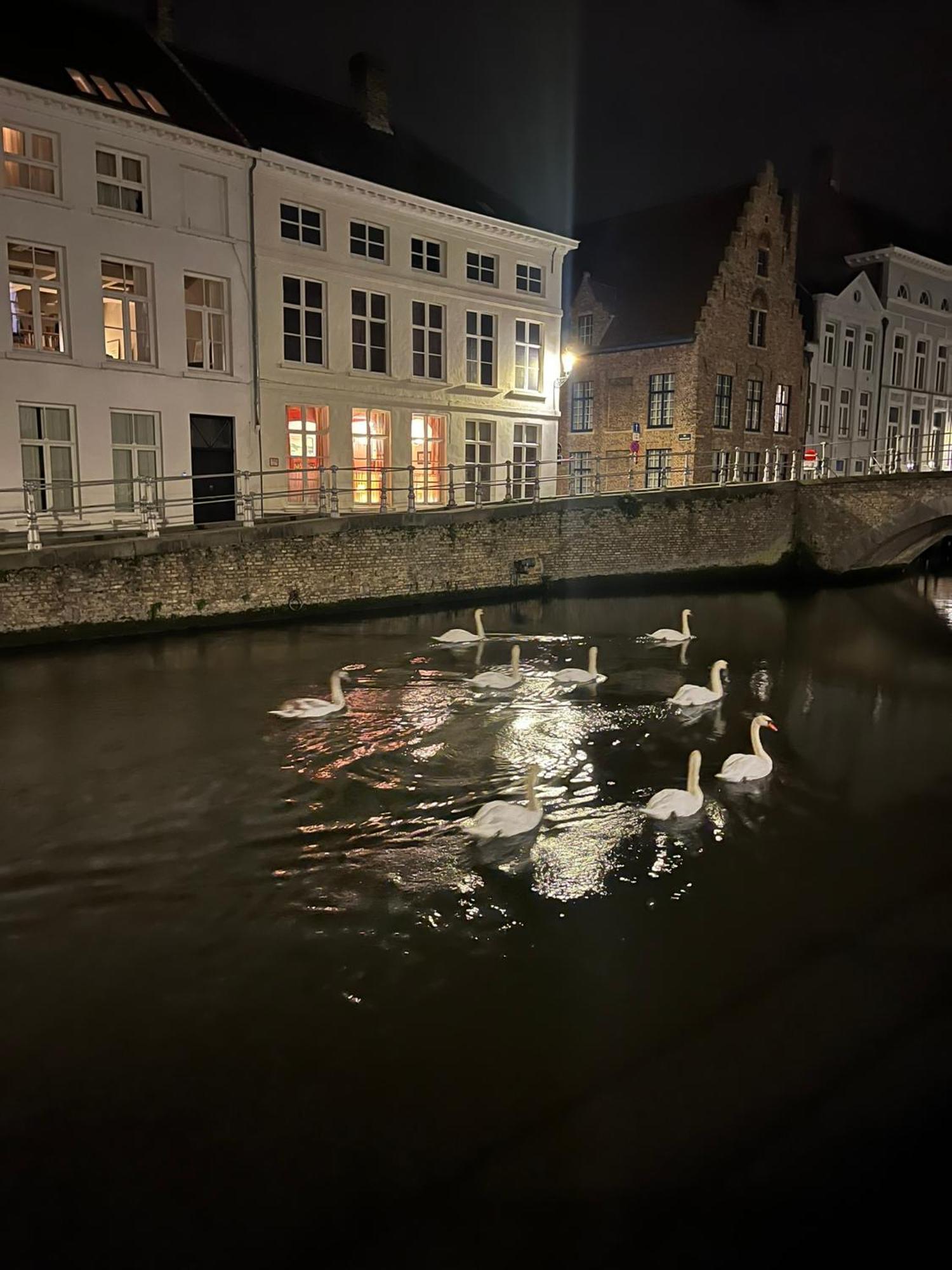 B&B Anna9 Brugge Ngoại thất bức ảnh
