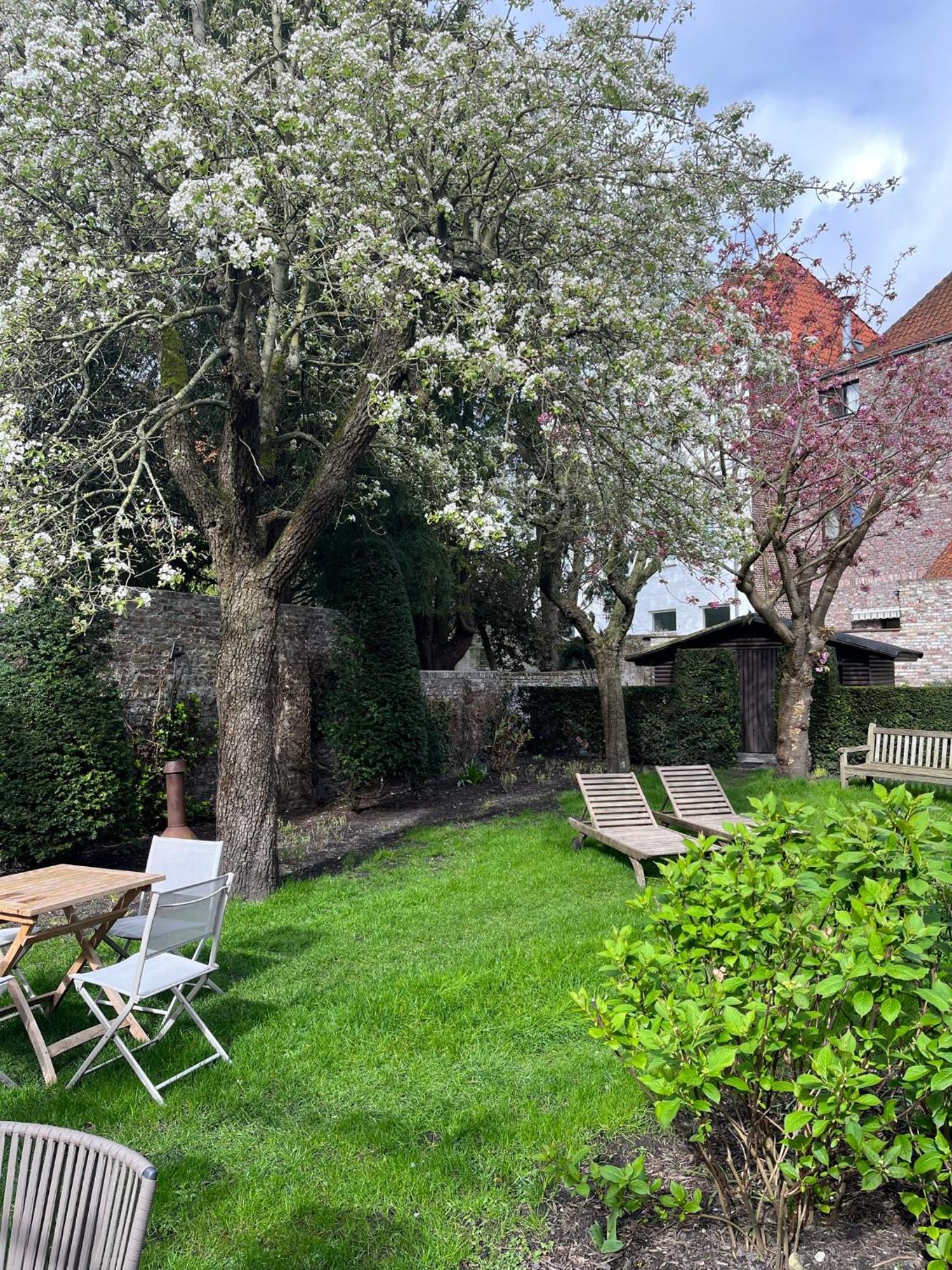B&B Anna9 Brugge Ngoại thất bức ảnh